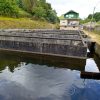 REF 1146 ALQUILER DE PISCIFACTORÍA RÍO SARDIÑEIRA O SAVIÑAO